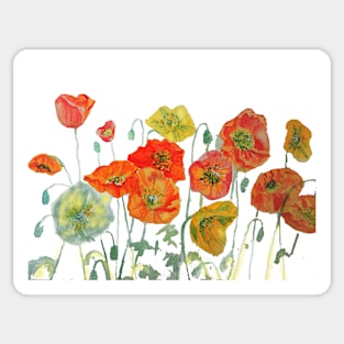 Poppy Watercolor Painting Orange Red Yellow Sticker